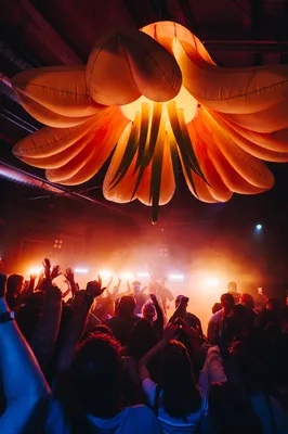 LuckyDoneGone Ladybird-Guus van der Aa-